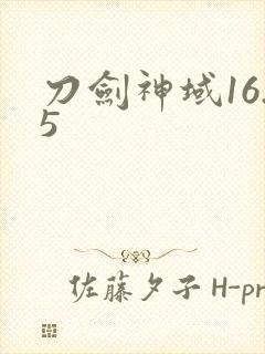 刀剑神域16.5
