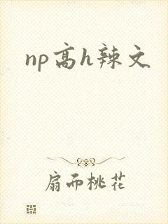 np高h辣文