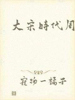 大宋时代周刊