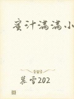 蜜汁满满小说