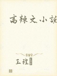 高辣文小说