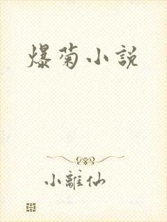 爆菊小说
