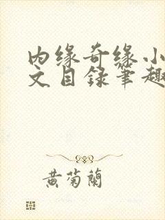 内缘奇缘小说全文目录笔趣阁