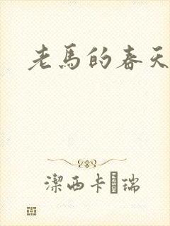 老马的春天敏静封面