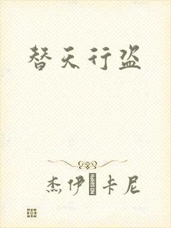 替天行盗