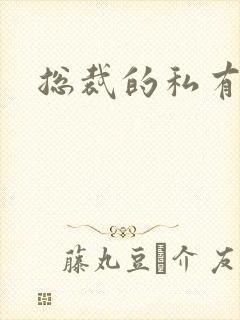 总裁的私有宝贝