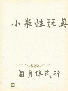 小米性玩具日记
