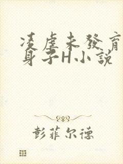 凌虐未发育的小身子H小说