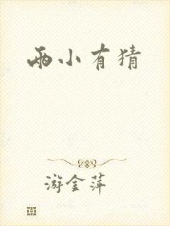 两小有猜