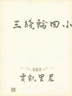 三线轮回小说封面