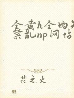 全黄h全肉短篇禁乱np网站