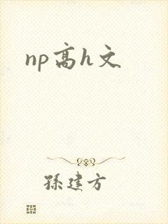 np高h文