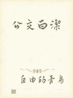 公交白洁