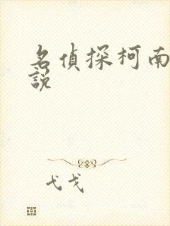 名侦探柯南h小说封面
