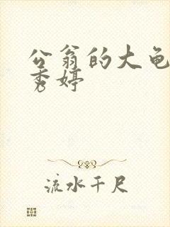 公翁的大龟挺进秀婷封面