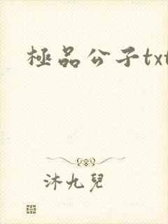 极品公子txt