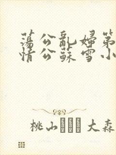 荡公乱妇第1章情公苏雪小说