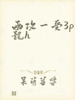 两攻一受3p双龙h