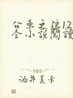 公车之狼12集全小说阅读封面