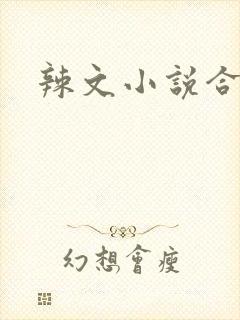辣文小说合集封面