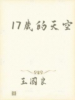 17岁的天空