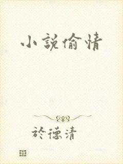 小说偷情