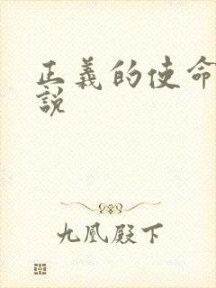 正义的使命 小说