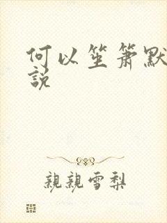 何以笙箫默 小说