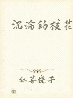沉沦的校花