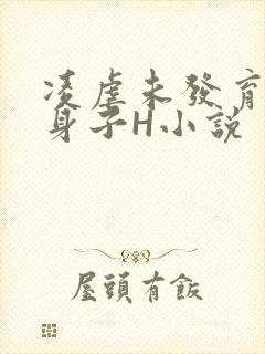 凌虐未发育的小身子H小说