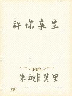许你来生封面