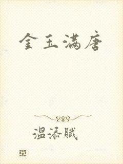 金玉满唐封面