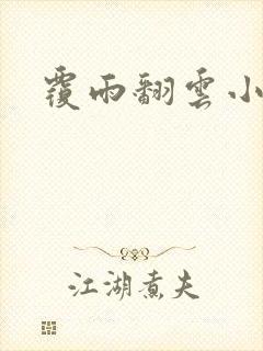 覆雨翻云小说