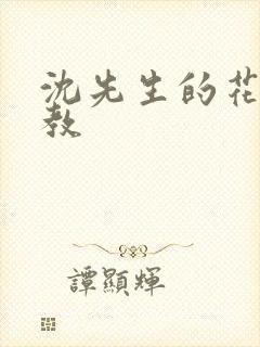 沈先生的花式管教