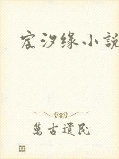 宸汐缘小说