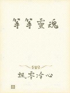 等等灵魂封面