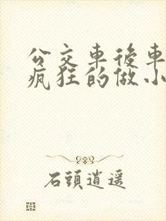 公交车后车座的疯狂的做小封面