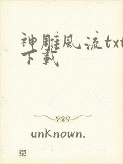 神雕风流txt下载封面