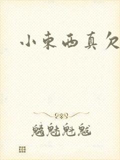 小东西真欠弄