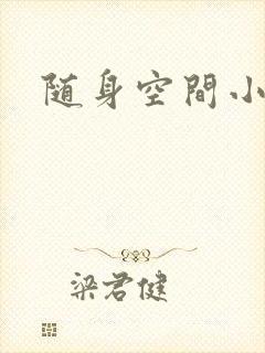 随身空间小说