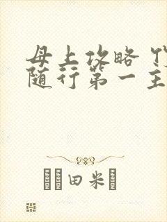 母上攻略 竹影随行第一主板
