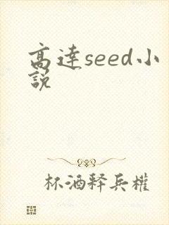 高达seed小说