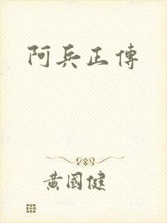 阿兵正传封面