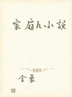 家庭h小说封面