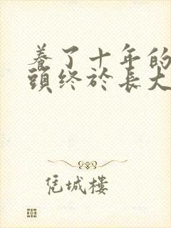 养了十年的小丫头终于长大了