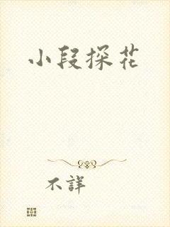 小段探花