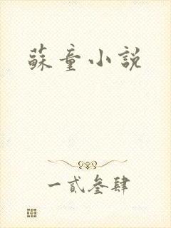 苏童小说