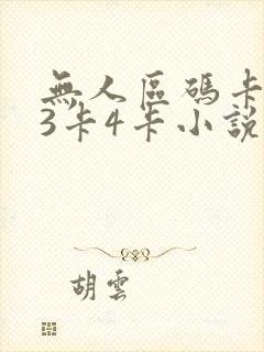 无人区码卡二卡3卡4卡小说