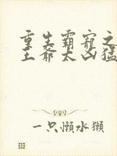 重生霸宠之摄政王爷太凶猛