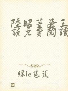 陆昭菱晋王的小说免费阅读封面
